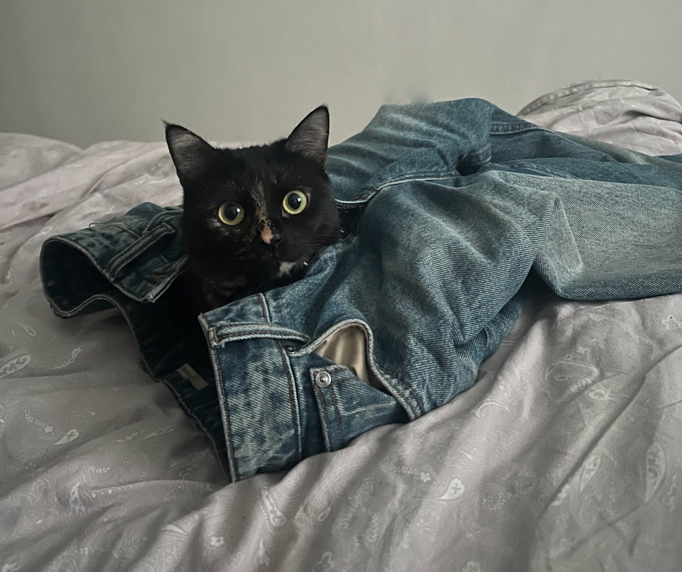    Фото: «Республика» / Илья Лапухин