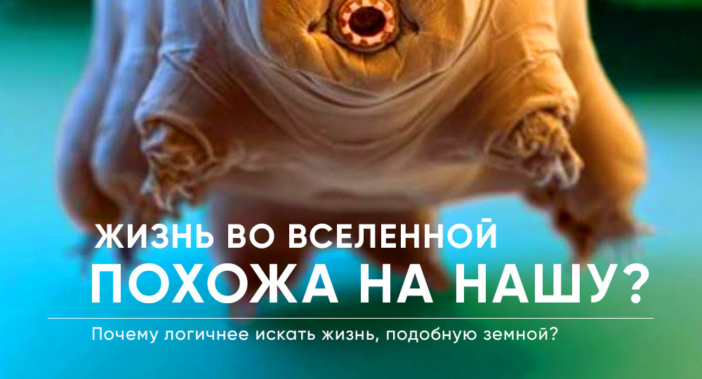 Почему внеземная жизнь, скорее всего, похожа на нашу?