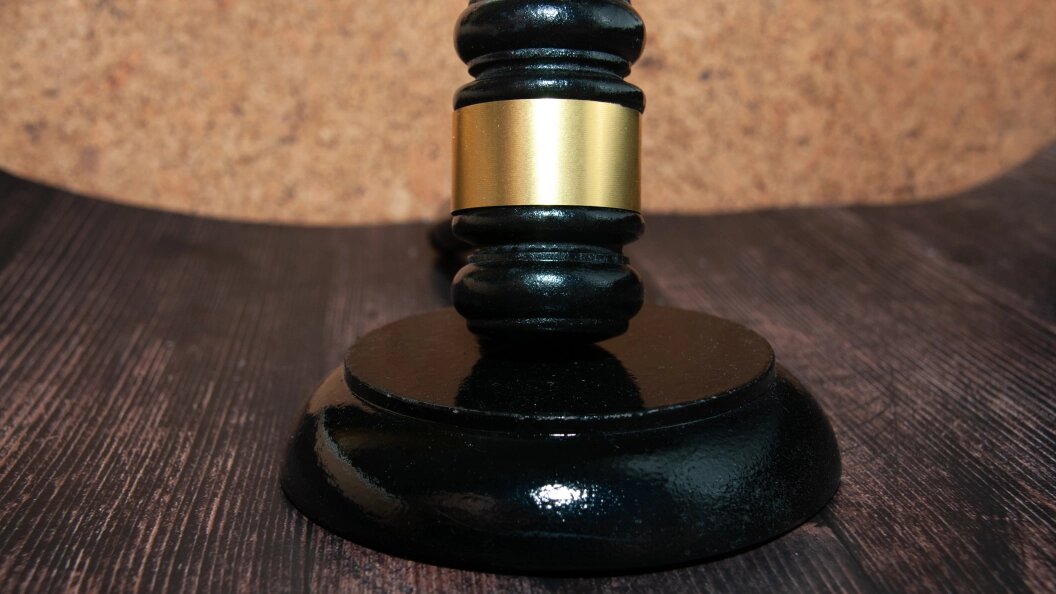    Фото: Svetlana Vozmilova/Globallookpress