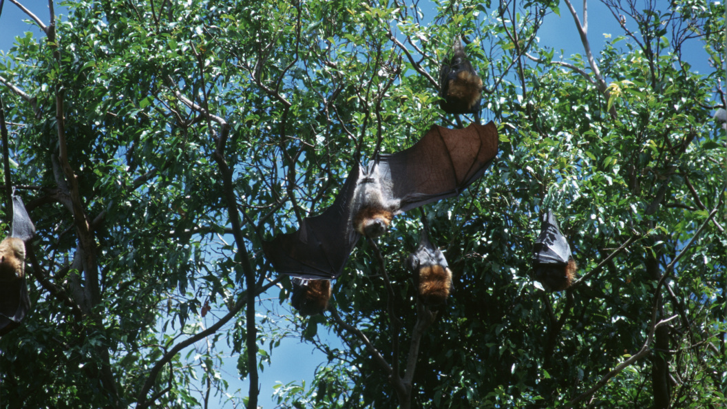    Фото: Vadim Nekrasov/Globallookpress