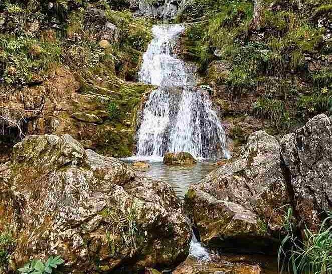    Фото: Алексей Выблов для t.me/ecology_bashkortostan