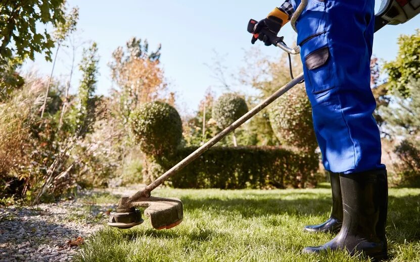    Опрос IZHLIFE: 44% ижевчан считают, что городские газоны важно вовремя косить