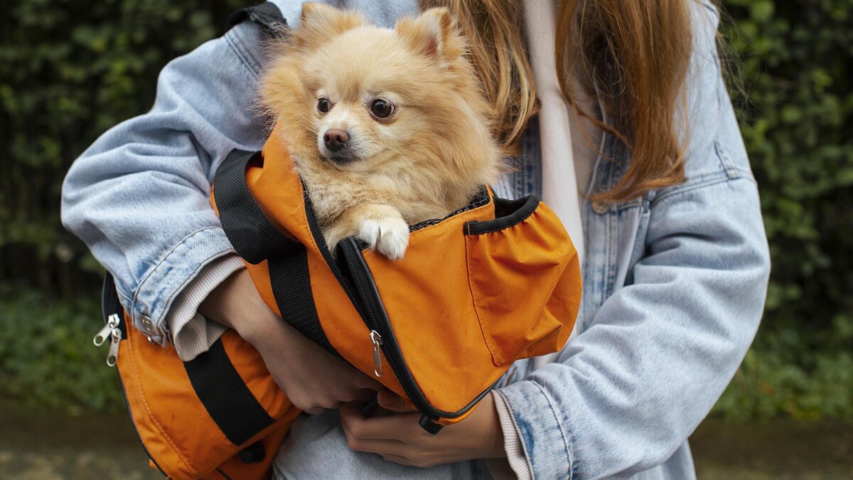 Фото: freepik.com