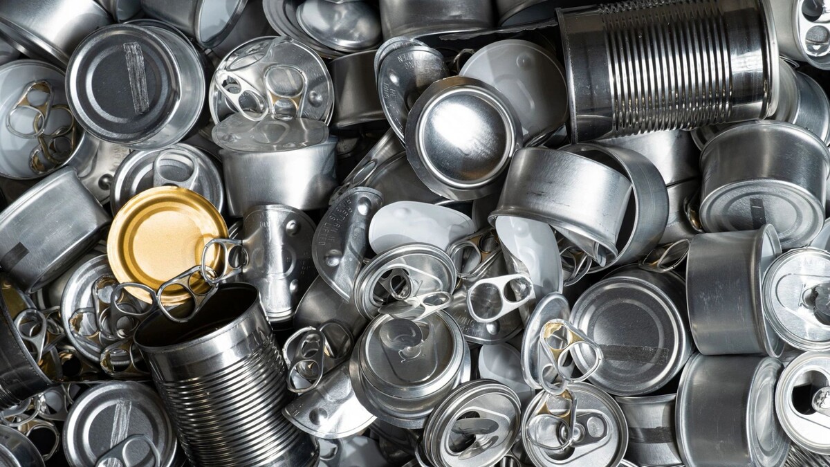    Фото: Golden Shrimp/Shutterstock/Fotodom