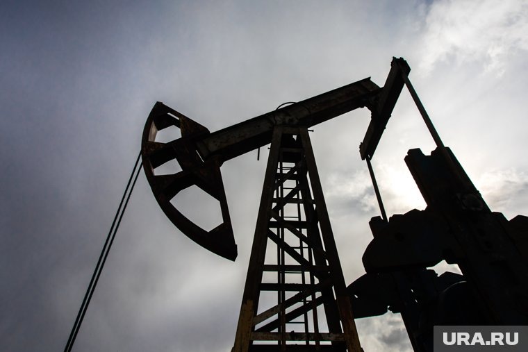 Магомедов возглавил объединение «Дагнефтепродукт». Фото: Александр Кулаковский © URA.RU