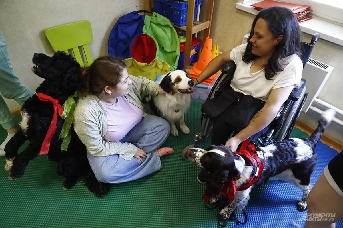    Стать лидером.