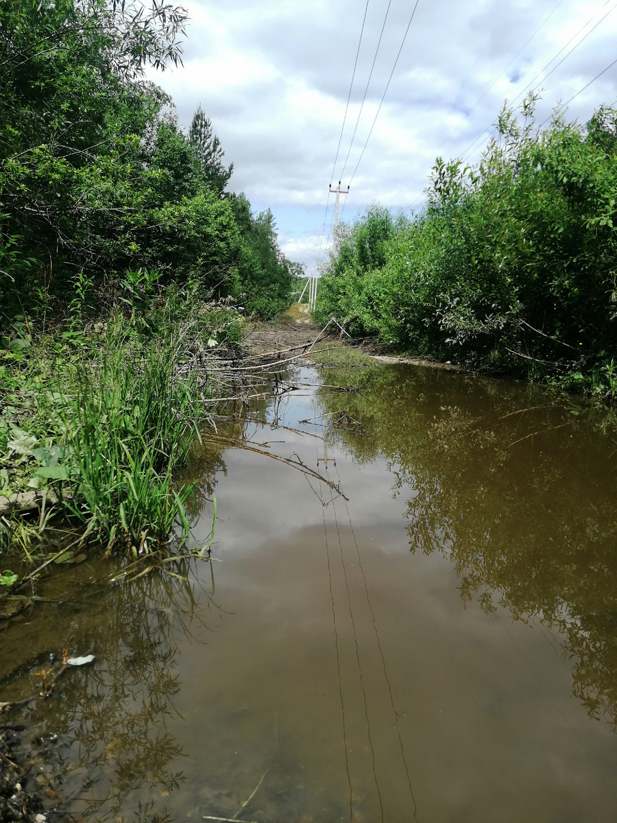 Дорога вдоль ВЛ. 