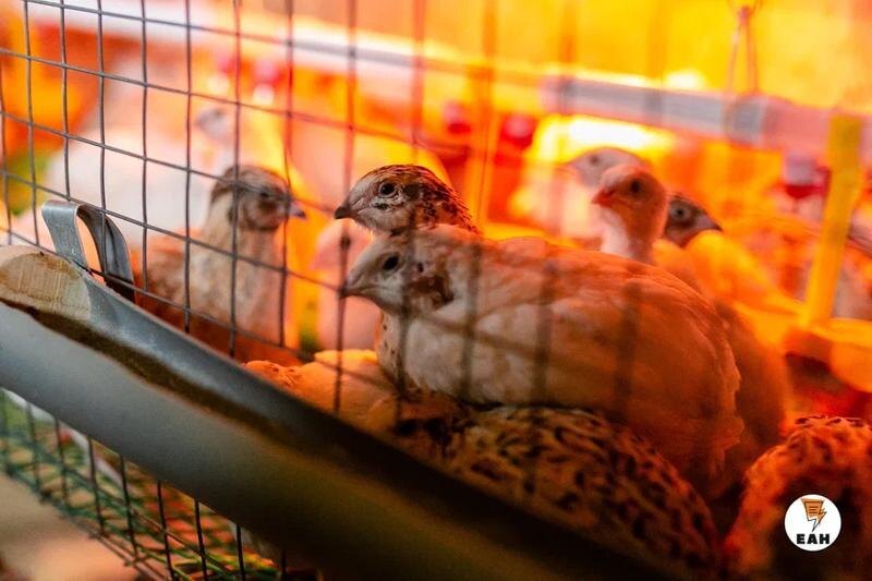    ЕАН. Архивное фото