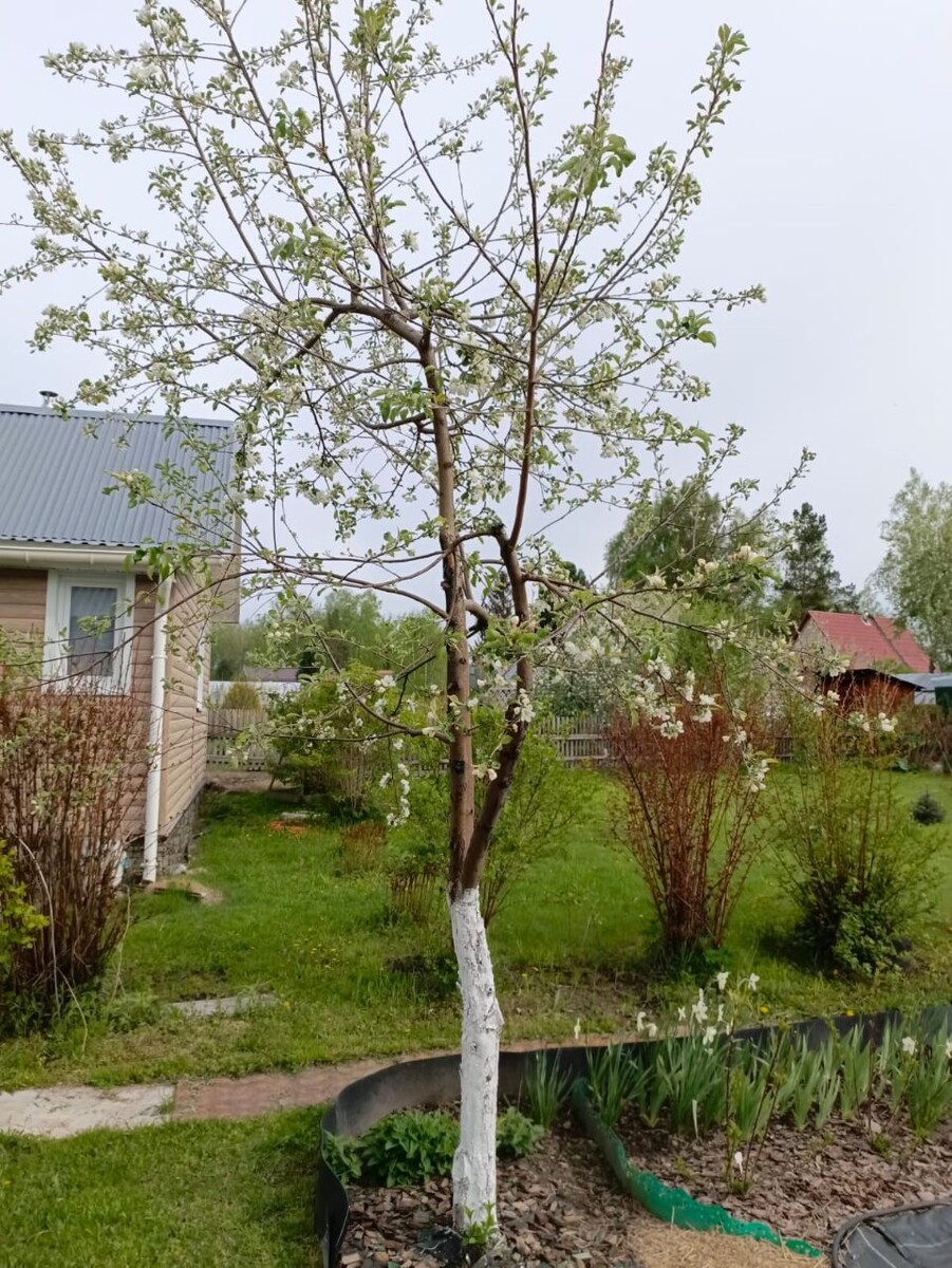 Астрологические тенденции июля 2025 года