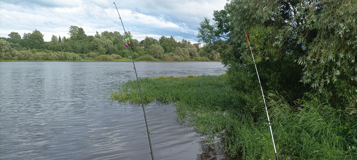 Река "Волхов" в окрестностях Новгорода
