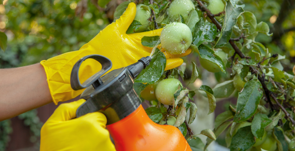 опрыскивание