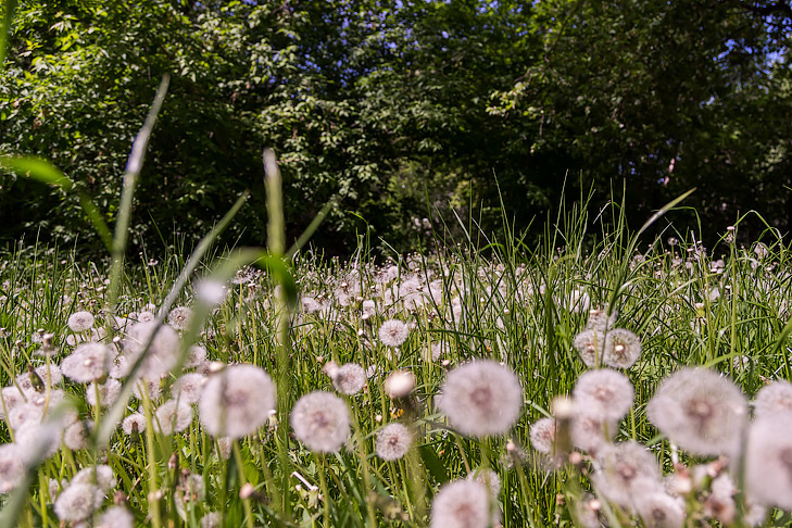    Фото Андрея Заржецкого