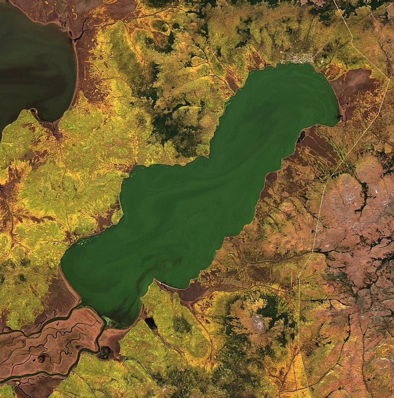 Чля — крупное пресноводное озеро в Николаевском районе Хабаровского края в бассейне реки Амур, недалеко от устья. На северном берегу озера расположено одноимённое село