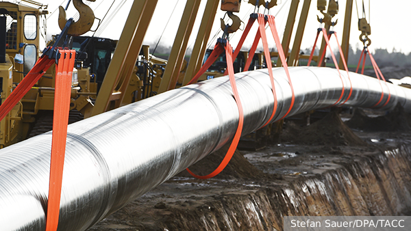     Фото: Stefan Sauer/DPA/ТАСС   
 Текст: Александра Юдина