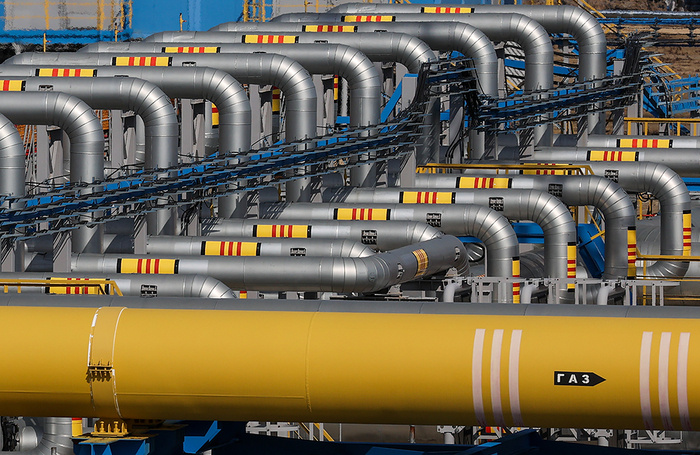    Кирилл Кухмарь/ТАСС