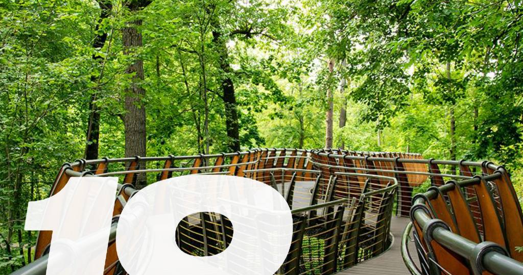 Большой ПОДРОБНЫЙ гид по 10 экотропам Москвы и МО: маршруты, фото, факты