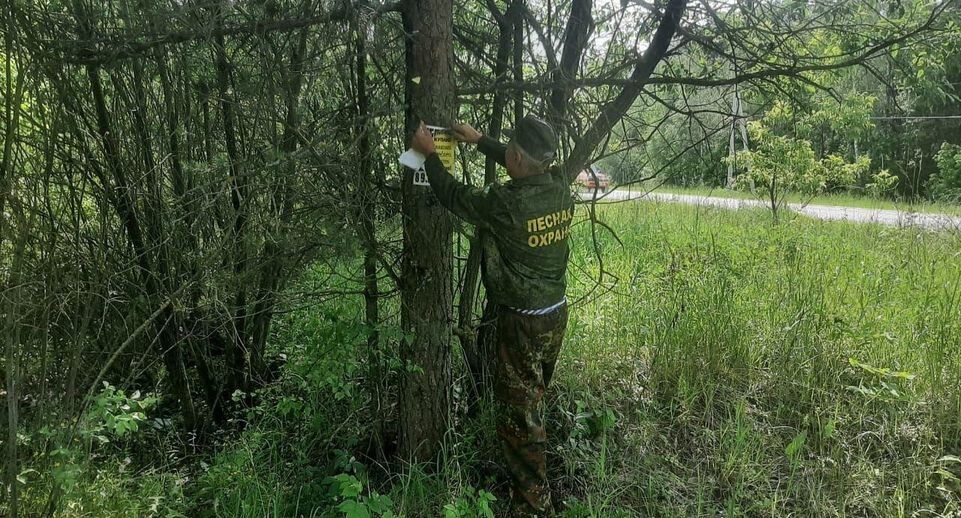    Комитет лесного хозяйства Московской области