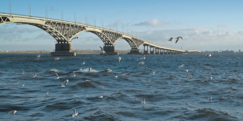 Из открытых источников