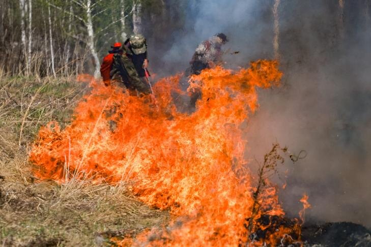    Фото из архива VN.ru