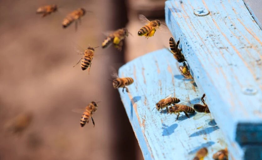 Фото: wirestock/freepik.ru