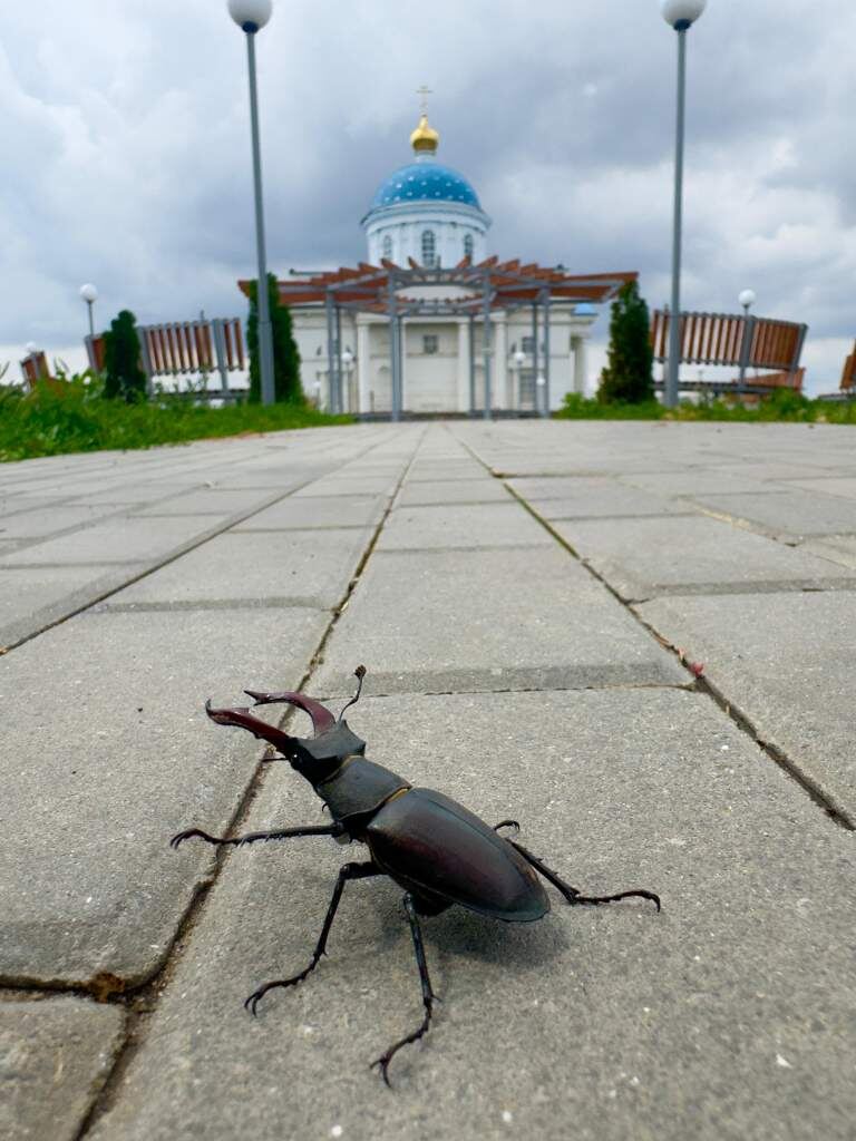   Фото: Л. ИВЛИЕВОЙ. Газета "Земля"