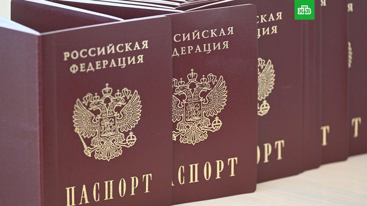    Фото: РИА Новости © 2025, Максим Богодвид