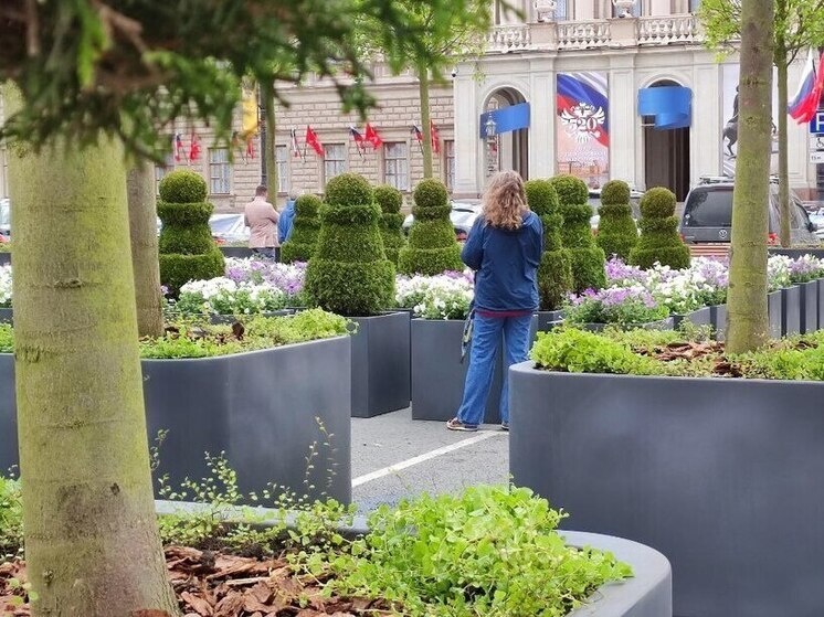     На карте города появятся новые парки и скверы, 13 ранее безымянных зеленых зон получат официальные названия, а еще 11 — точные границы и описание местоположения. Фото: архив МК в Питере