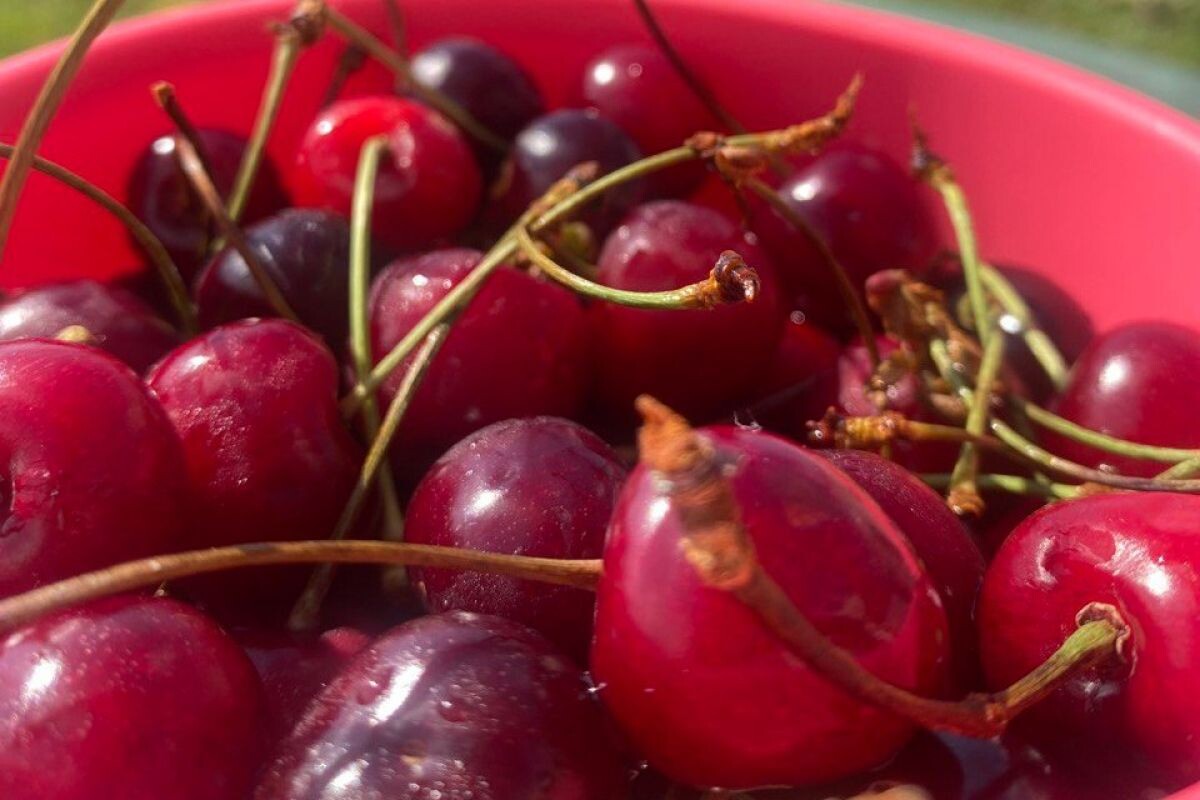 Фото: ИА "Регион 71"