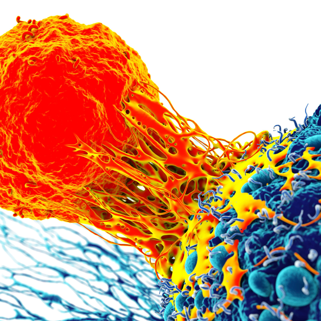 Просто — пусто.