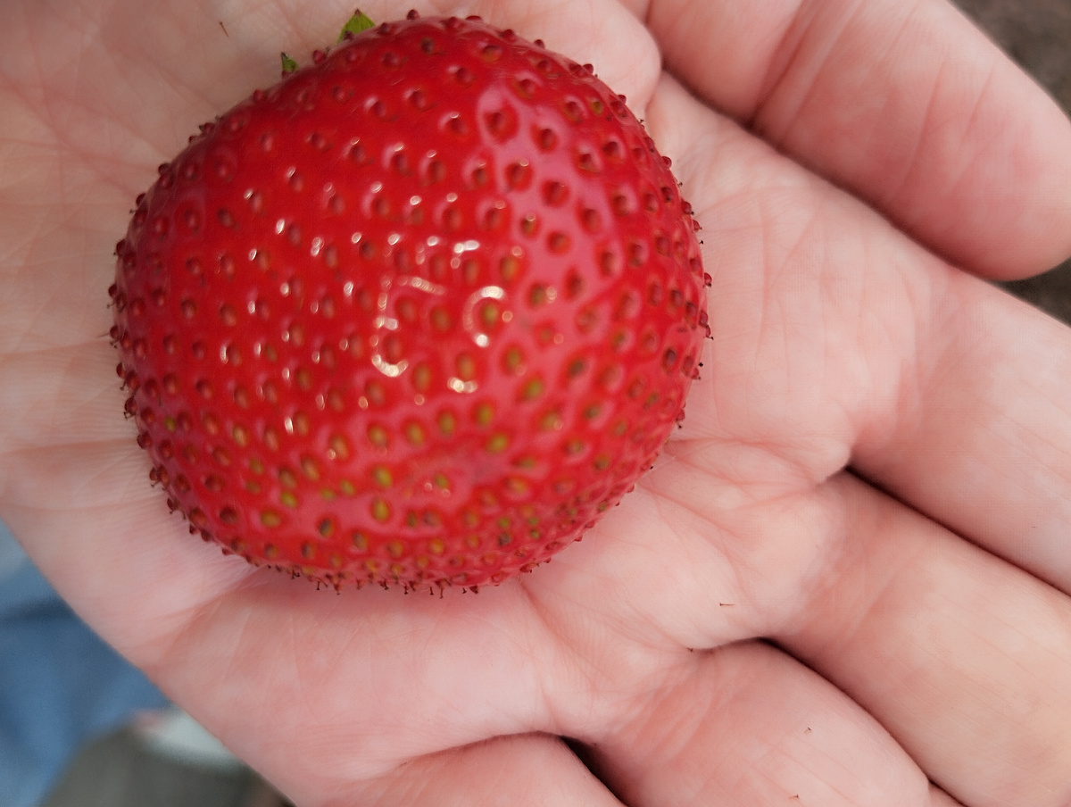 Вот это как раз Азия