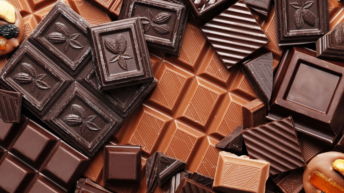    Фото: PandaStudio/Shutterstock/Fotodom