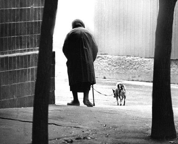 иллюстрация с просторов интернета