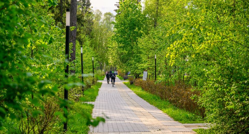    Парк «Малаховское озеро» в поселке Малаховка округа Люберцы / Медиасток.рф