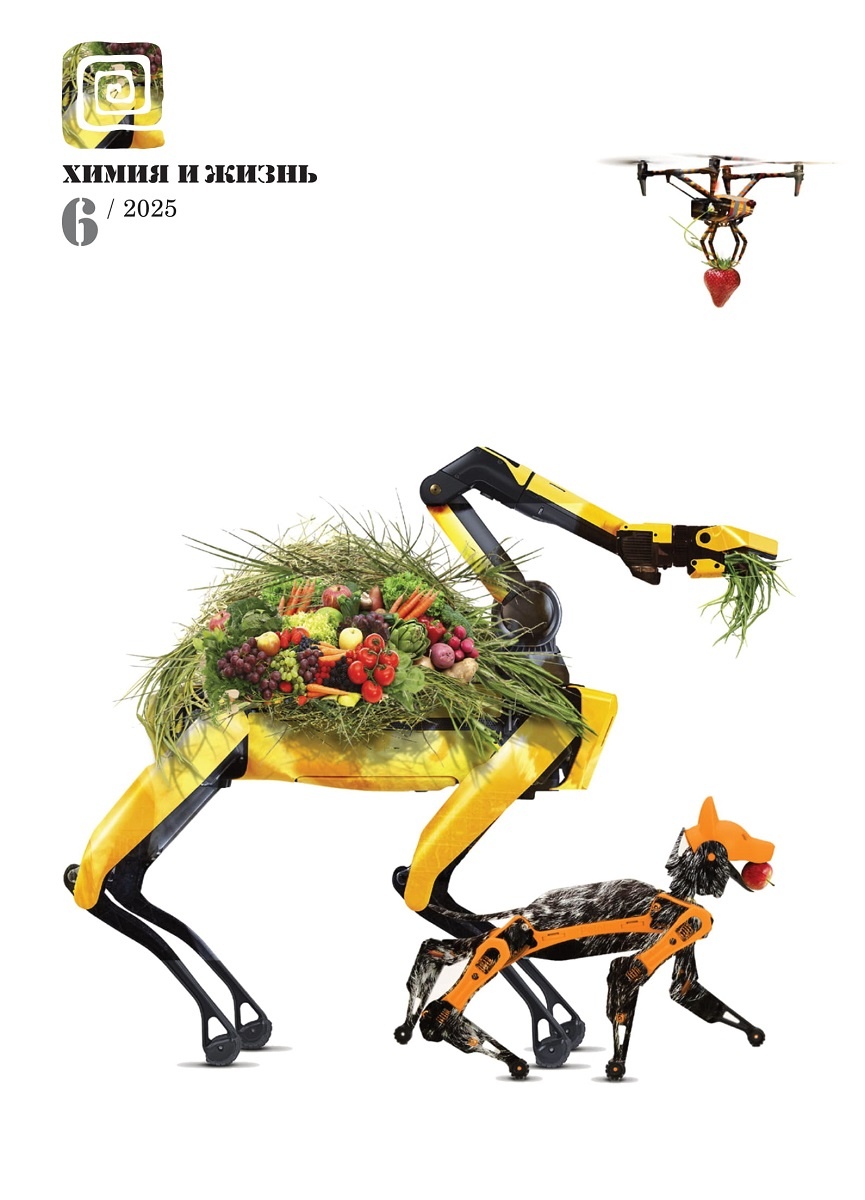 Дизайн обложки: Александр Кук