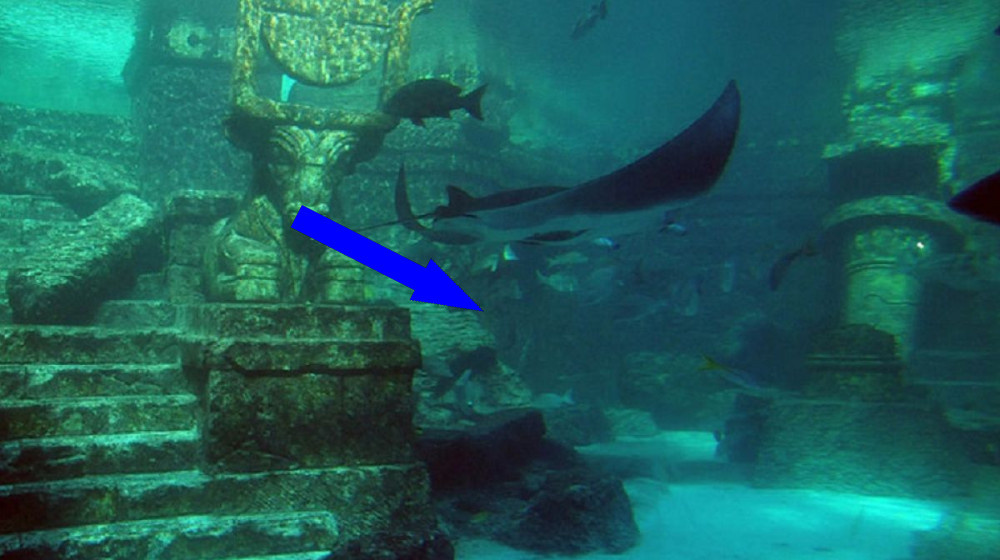    Тайна подводной пирамиды на Азорских островах это Атлантида нашли наконец