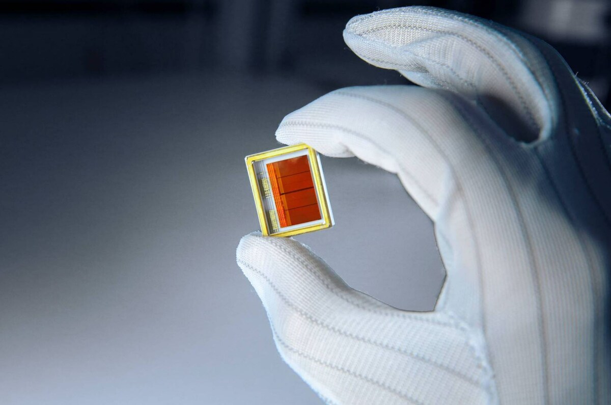 Фото: РКС  📷
