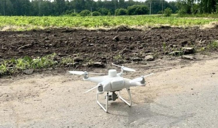    Фото: СФНЦА РАН