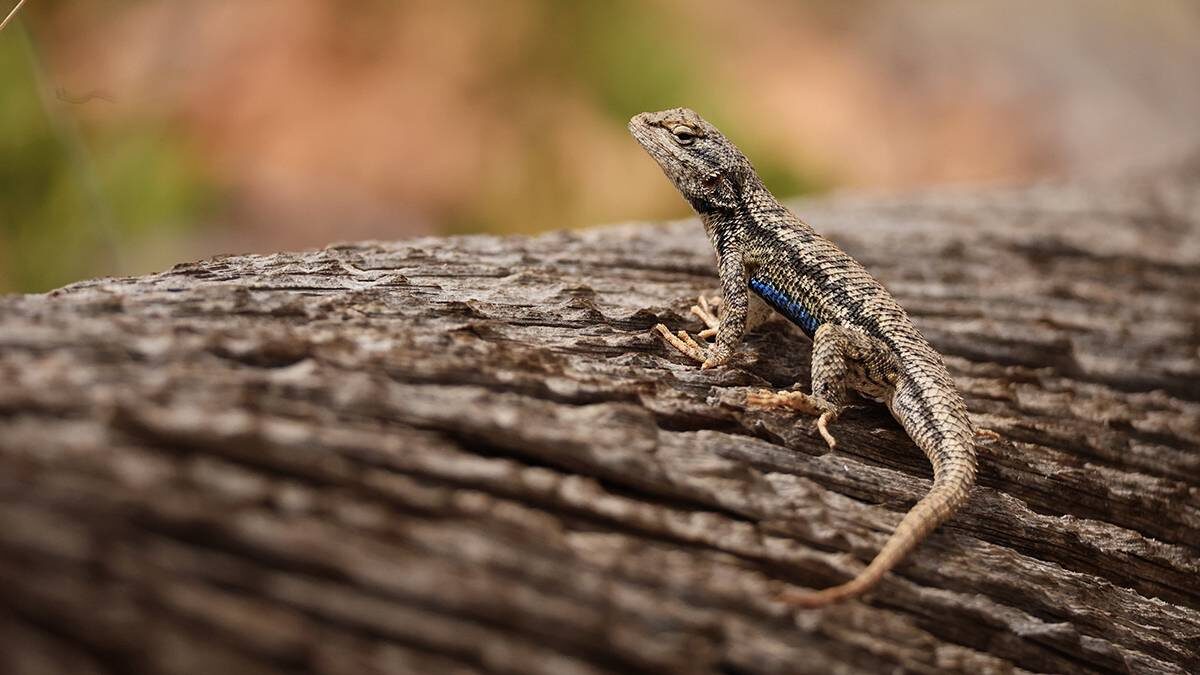    Фото: Shutterstock