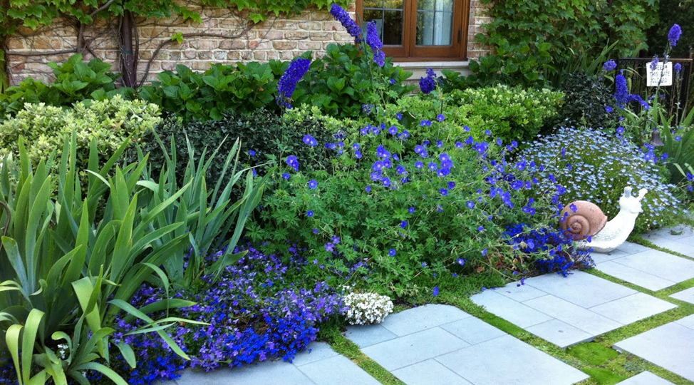 Цветотерапия на участке: как растения влияют на настроение и здоровье