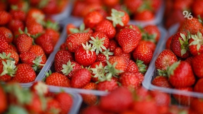      Фото: ИА «Победа26»