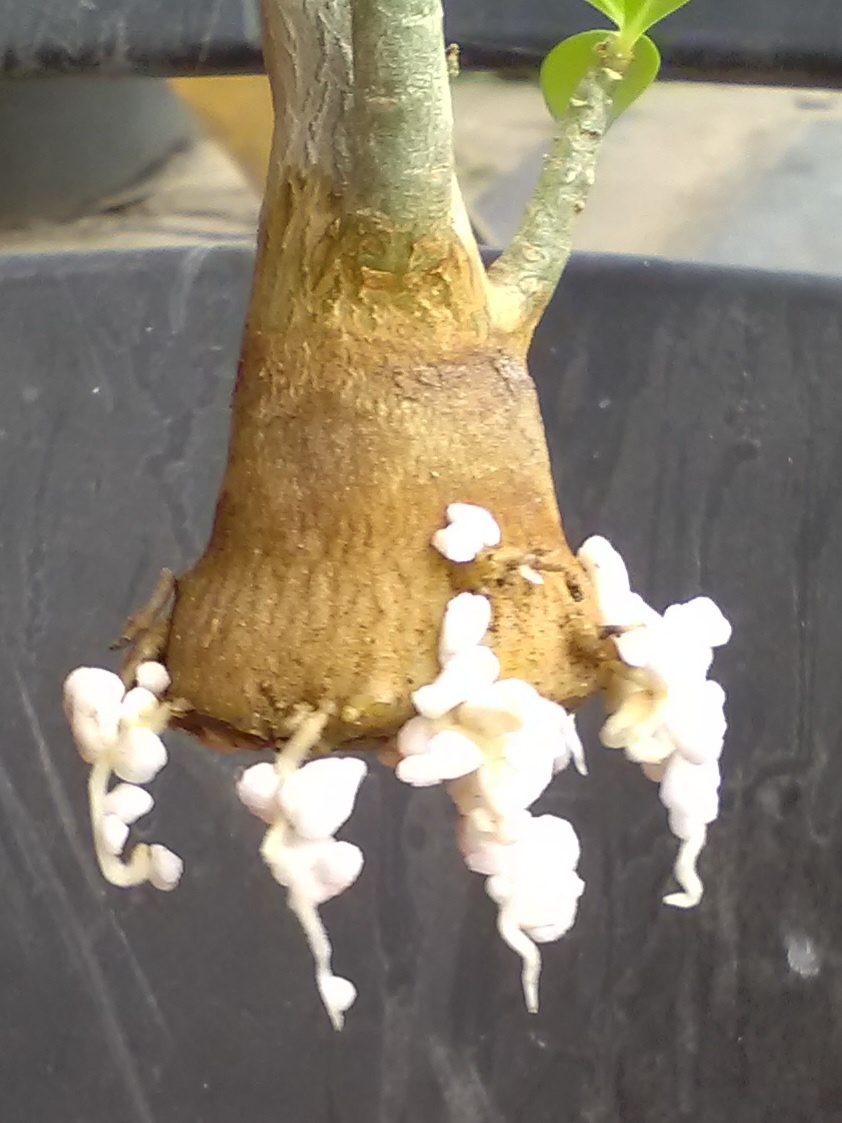 Так вполне достаточно