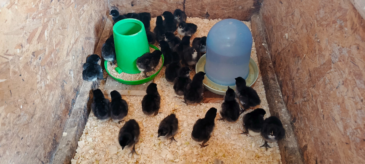 Все на месте