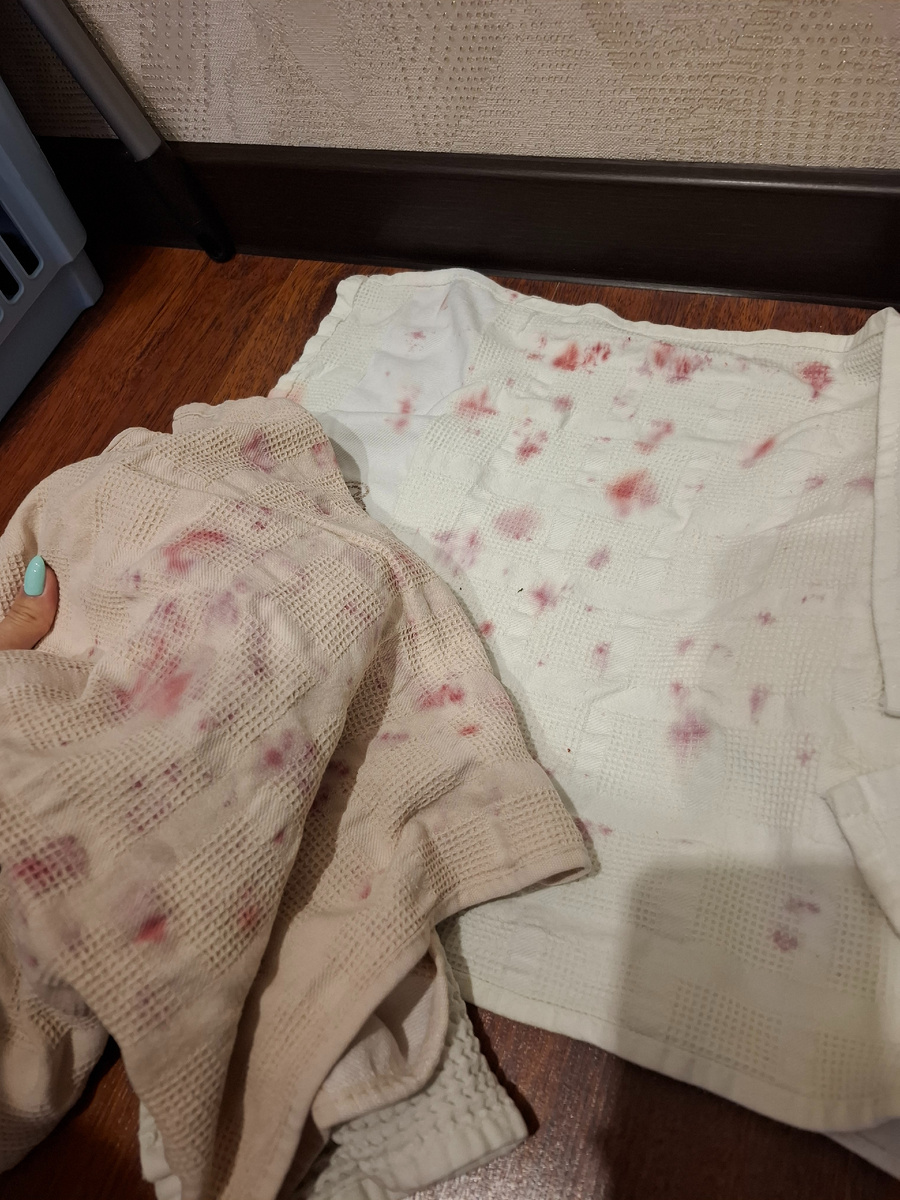 Вот такие были