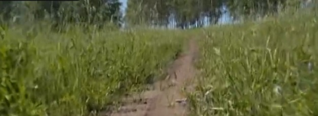 Фото: скриншот видео ТК "Енисей"