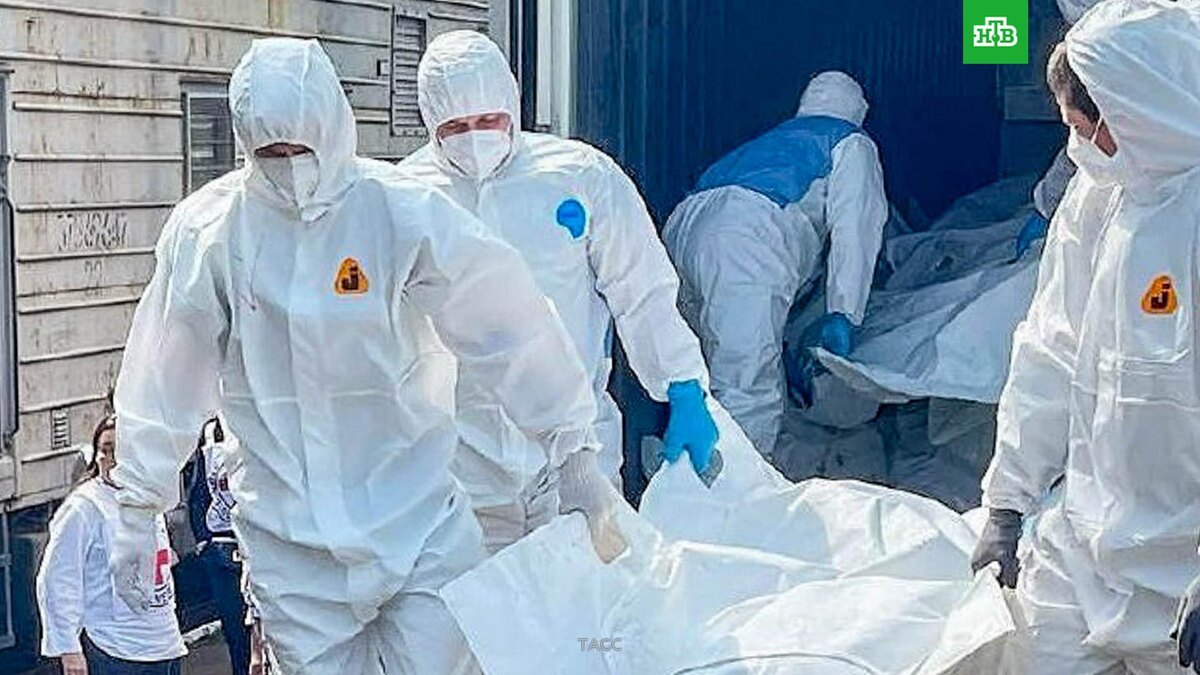    Россия завершила передачу Украине 6060 тел погибших военнослужащих ВСУ