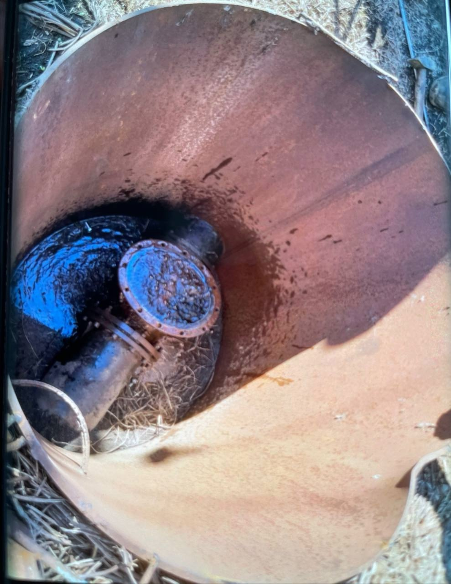 Фотографии предоставлены собственниками дач  