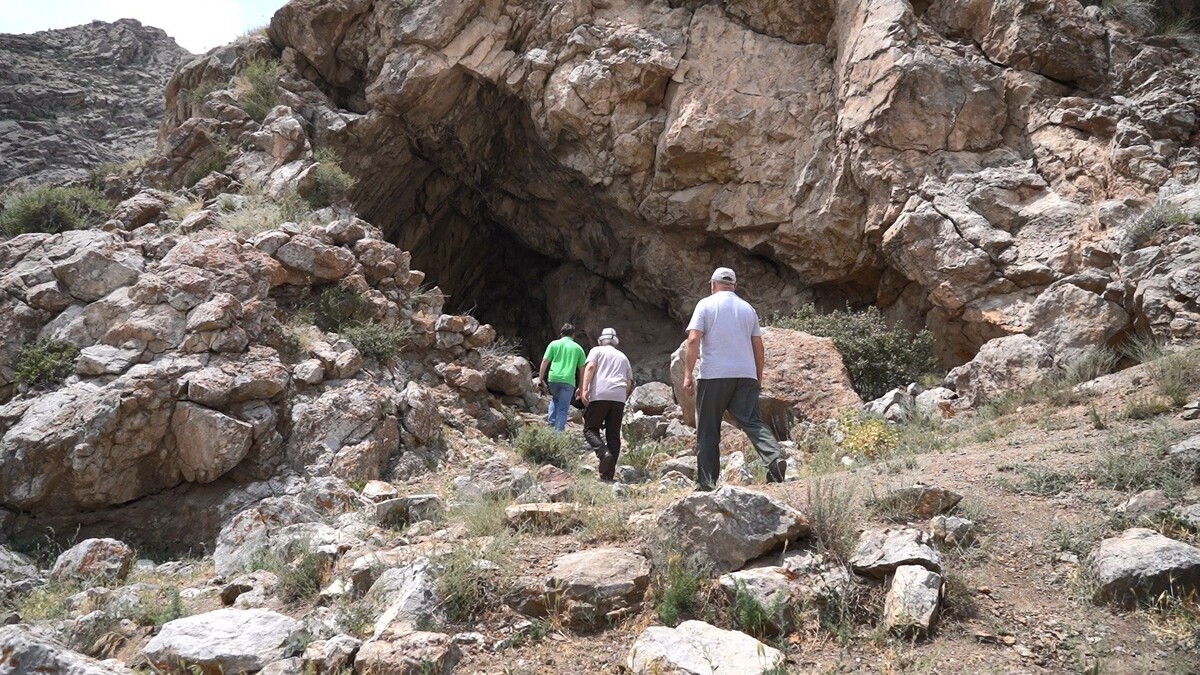 Фото: Таалай Апиев