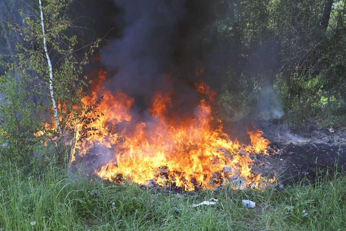 Фото: ИА "Регион 71"