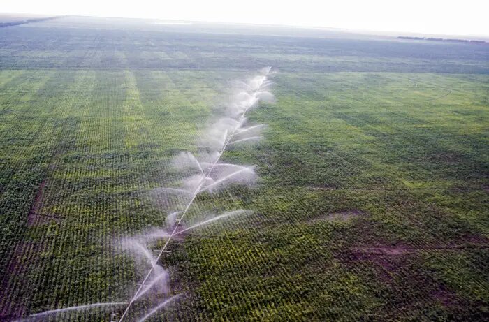     © РИА Новости. Игорь Костин