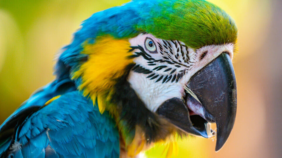 Фото: © Lisa Harding/Zuma/TASS